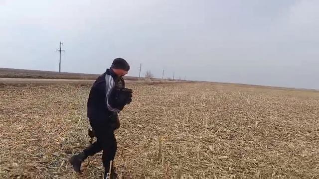Черного журавля Изуми выпустили в Муравьевском парке.