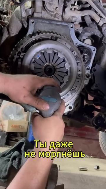 Пора просыпаться, зверь — у нас работа!