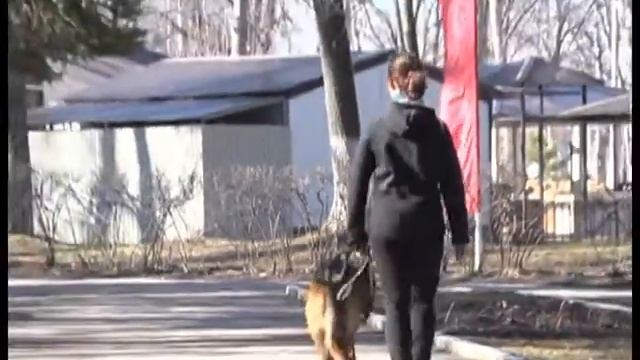Ульяновские парки обрабатывают от  клещей