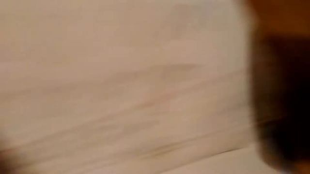 Очень смешное видео стоит посмотреть😀😁😂🤗😄