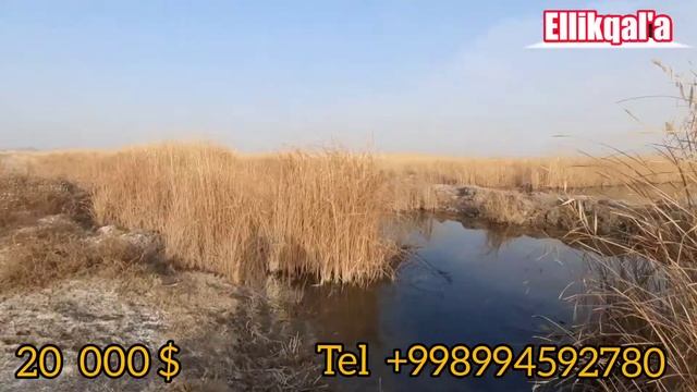 100 % ТАЙЁР БИЗНЕС БАЛИК ХОВУЗ ЗУДЛИК БИЛАН СОТИЛАДИ20 ноября 2022 г.