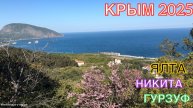 КРЫМ 2025 | ГУРЗУФ , НИКИТА , ЯЛТА | 29 АПРЕЛЯ ❤️🌊⛰🌴🏖🐬☀️