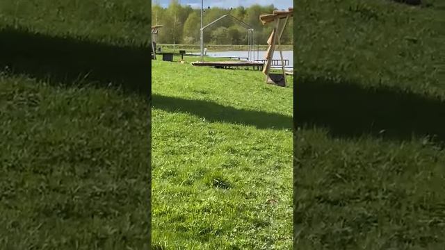 1000052674.mp4