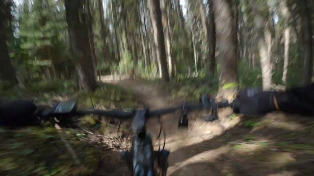 EMTB Schacher Golden BC