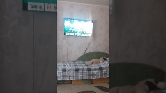 Реакция на Деда Максима 2!