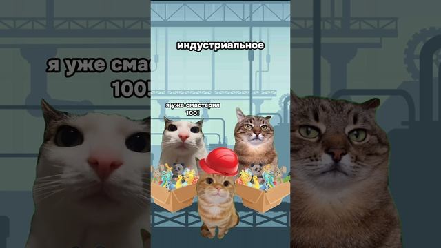 Описание какого типа обществ тебе зашло больше всего? 🤔 #котики #егэ #мемы #учеба