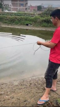 Новинки из Китая