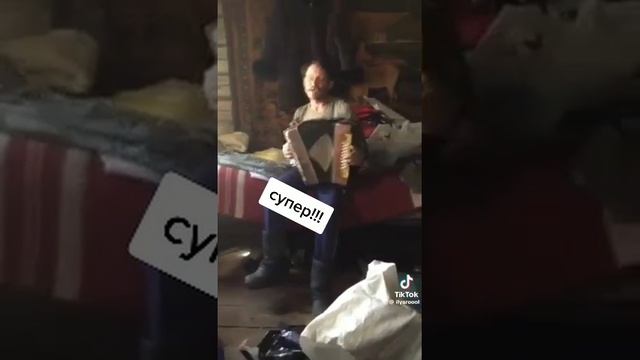 Белые розы Гармошка