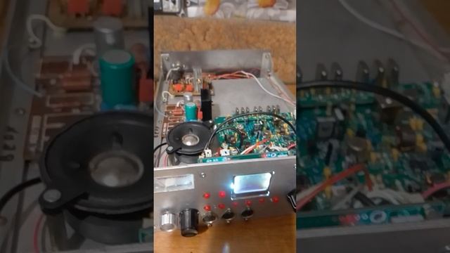 1000037493.mp4