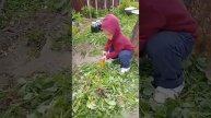 VID_20250501_182817_538.mp4