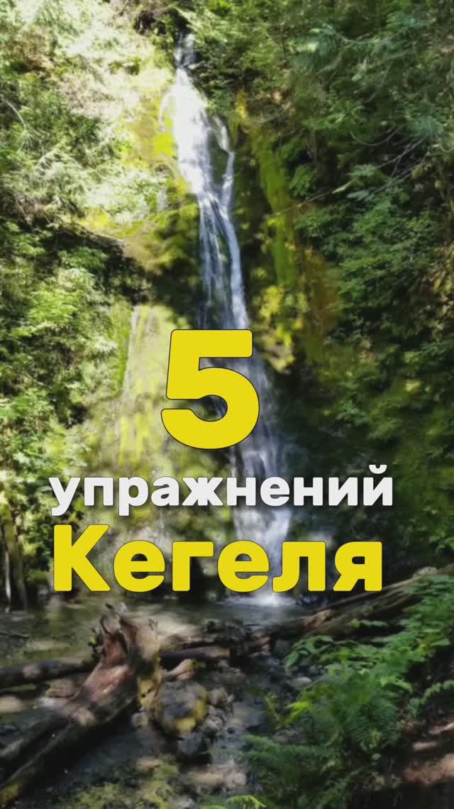 Интимная гимнастика для мужчин
#кегель #мужскаясила #мужчина