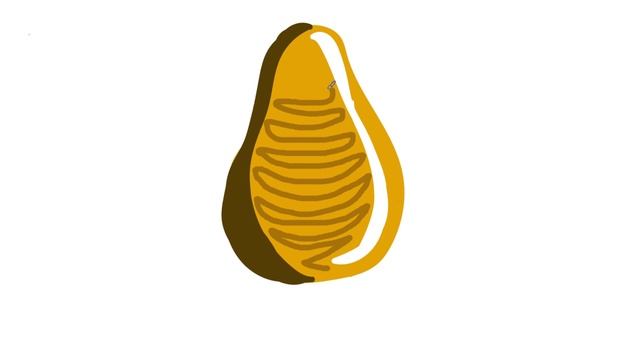 Рисуем груша часть 044