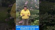 ВМЕСТЕ С ЦЕНТРОМ ОЗДОРАВЛИВАЮСЬ ДАВНО