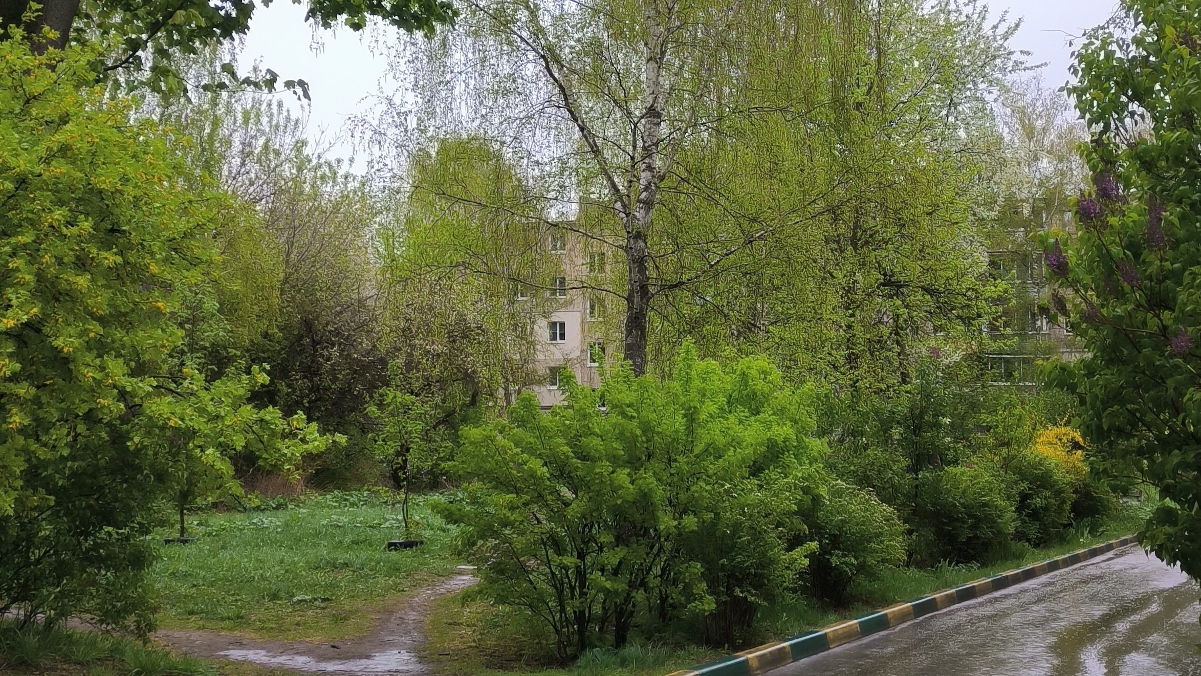 Май 2025