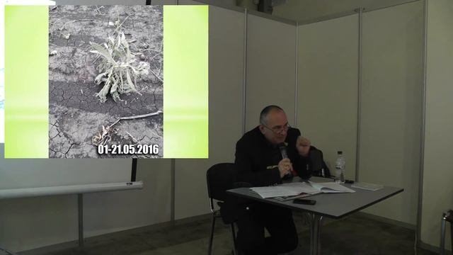 Второй практический семинар 