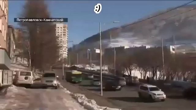 Телеведущая рассмеялась после слов о льготах в России
