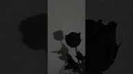 Blood Water- все запрети скованный болью