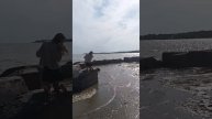 Таганрог пляж Приморский парк