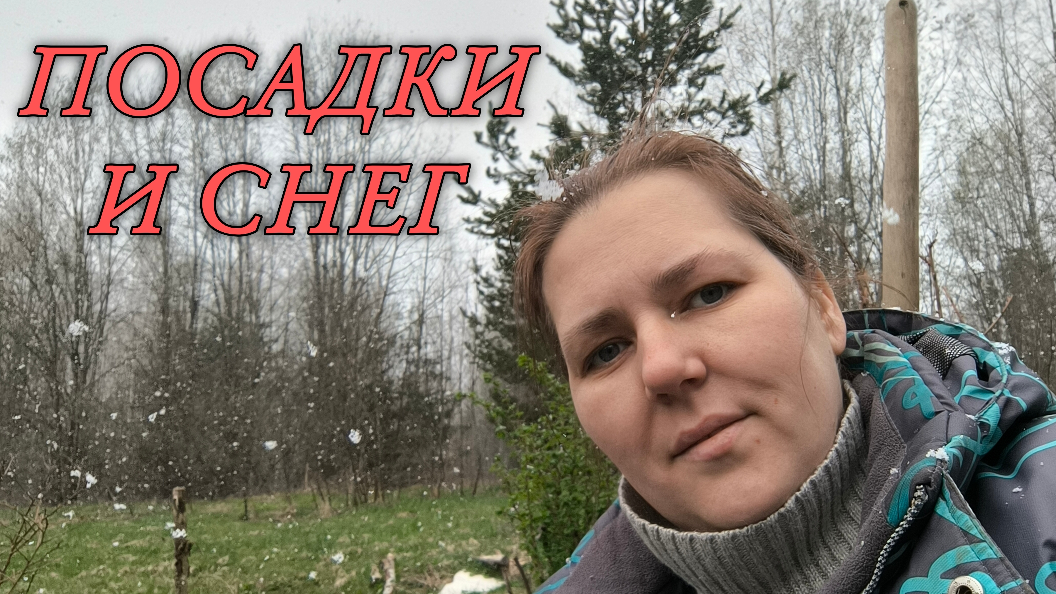 Посадки в снег | Распаковка посылок с Вайлдберриз и озон | Новые саженцы деревьев