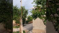 Узбекистан, обычная жизнь. виды из деревни