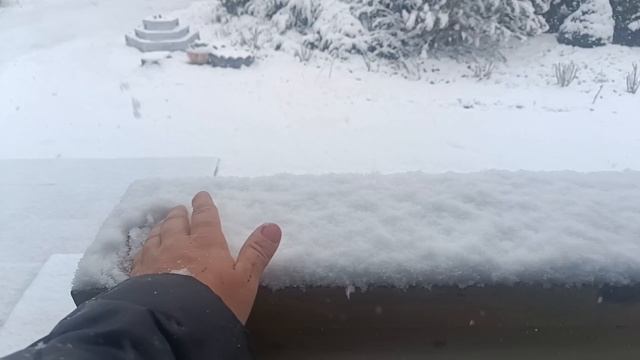 С 1 мая всех всех)Хотела заняться сегодня пересадками))