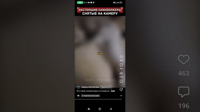 лучше не едте в Америку они там скинволкеры обитают
