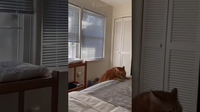 1000039009.mp4