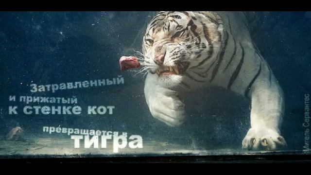 ПОВЕРЬ В СЕБЯ И У ТЕБЯ ОБЯЗАТЕЛЬНО ВСЕ ПОЛУЧИТСЯ!!!!