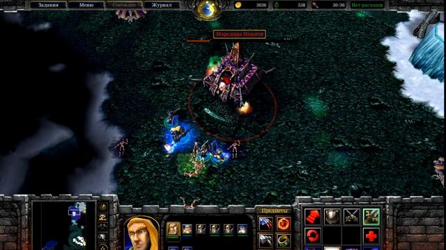 Гопота чести и бороды | Warcraft III: Reign of Chaos #6