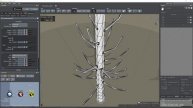 03.01_Juniper_Structure