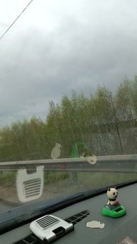 Дорога.