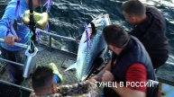 Еле в лодку затянули