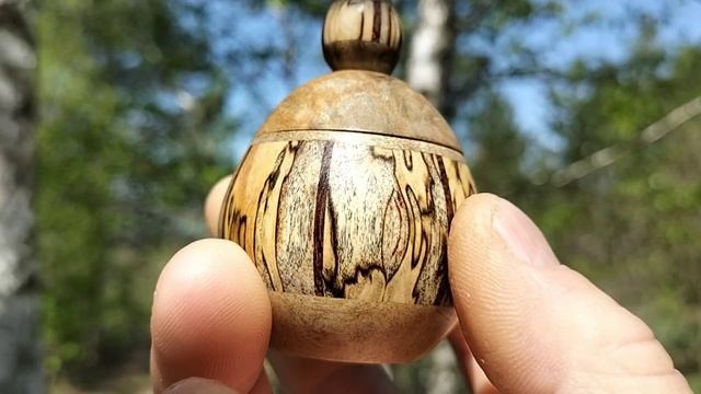 Шкатулка в весеннем лесу на изогнутой коленом березке