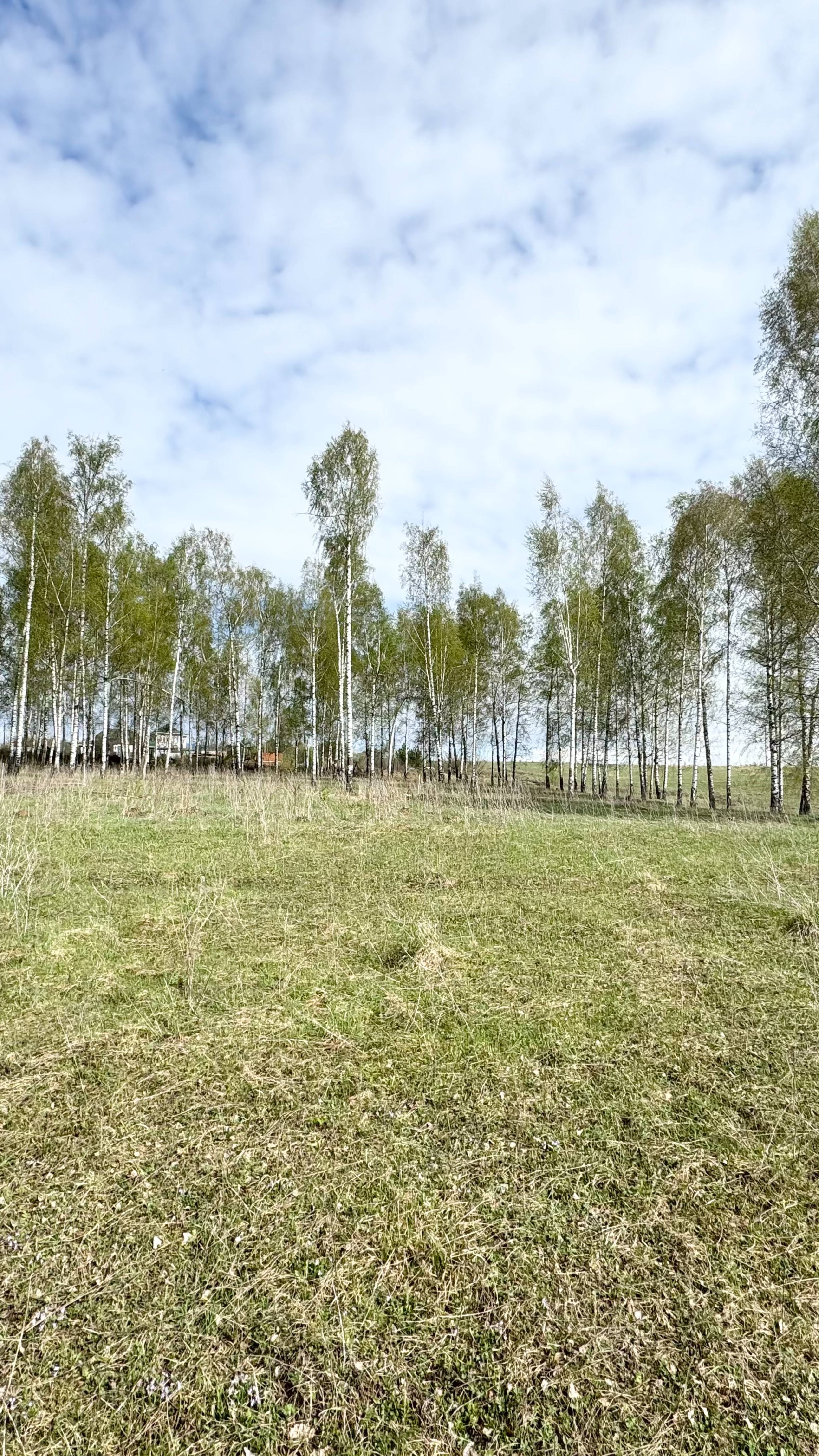Участок в пригороде города Чебоксары