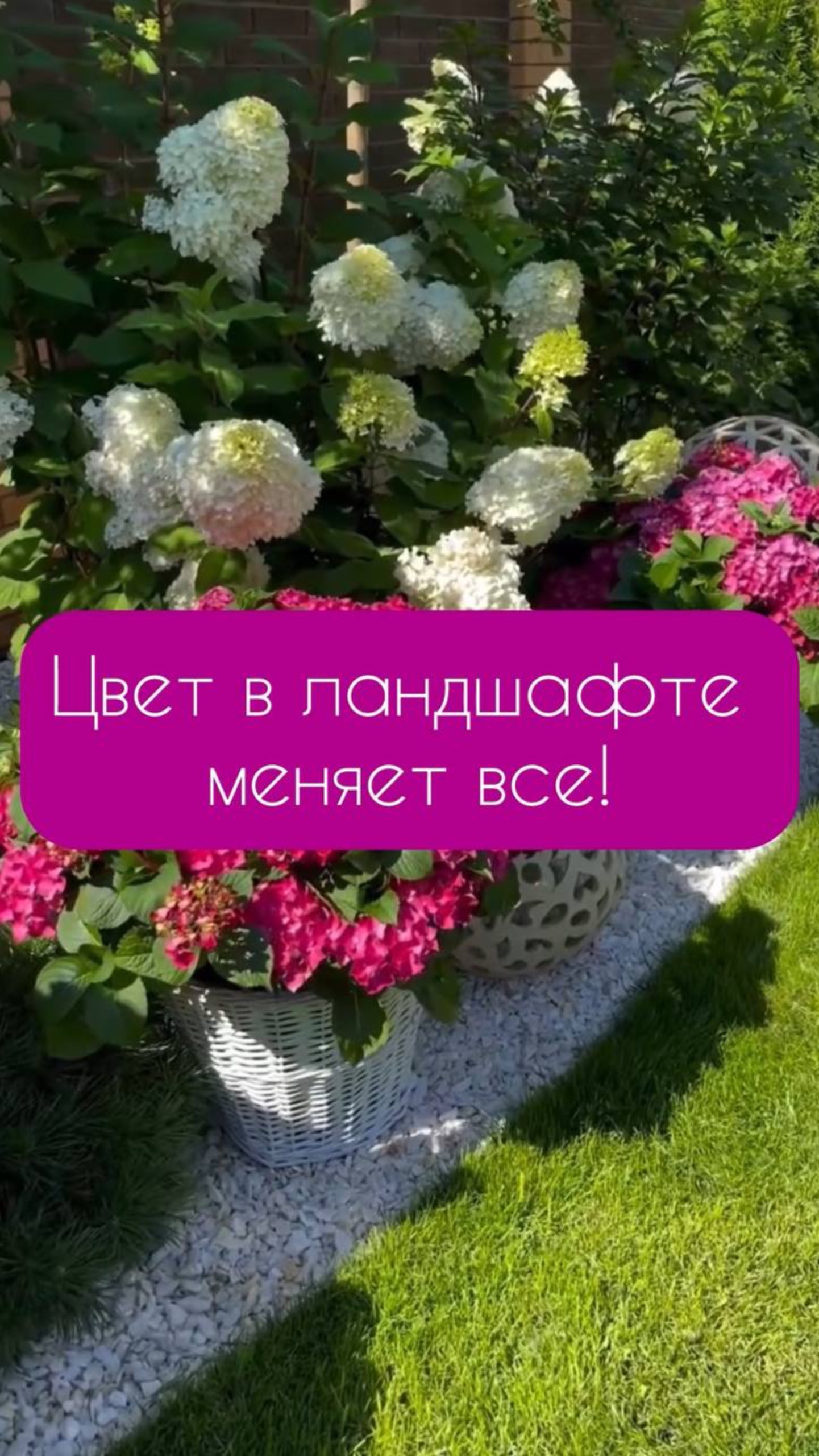 Цвет в ландшафте меняет все #ЦветВЛандшафте #ЛандшафтныйДизайн #СадовыеНоваторы #ПространствоВСаду