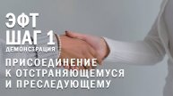 Демонстрация. Работа с преследующим и отстраняющимся партнером - Шаг 1 процесса ЭФТ