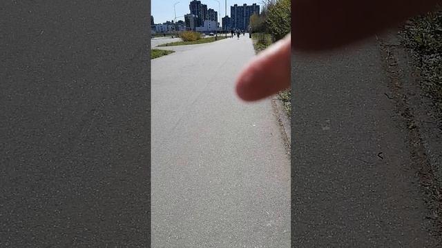 Красносельский, дорога на пляж
