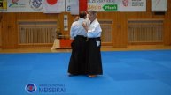 7 Aikido Ai Hanmi Iriminage Shishiya Sensei Pilsen 2023