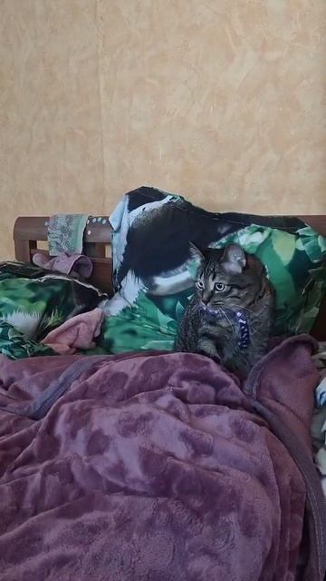 зажался)