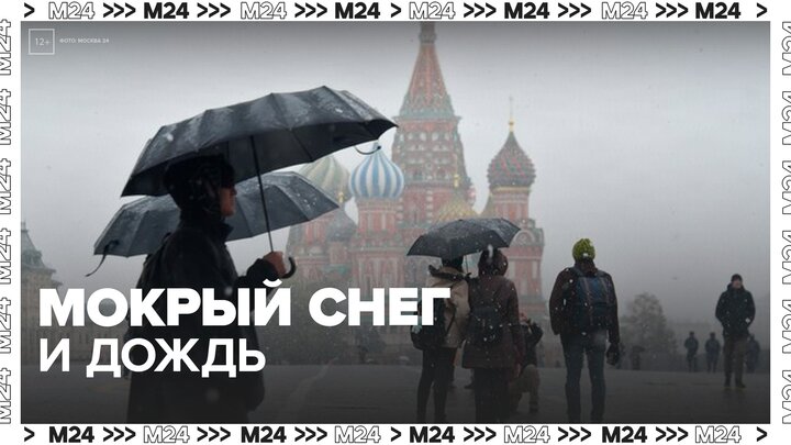 В Москве к вечеру ожидаются мокрый снег и порывистый ветер - Москва 24