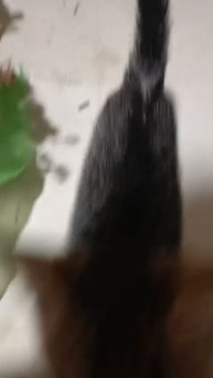 1000271630.mp4