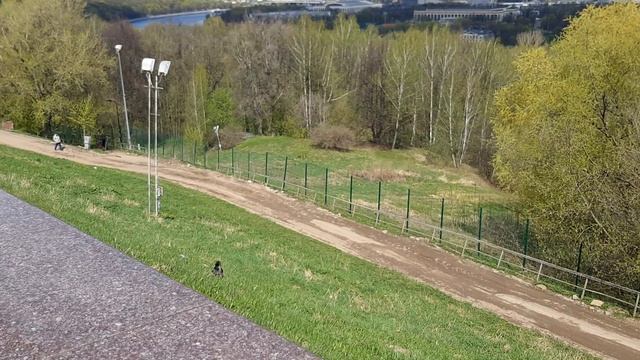 05.05.2021. Москва. Воробьевы горы. Смотровая площадка.