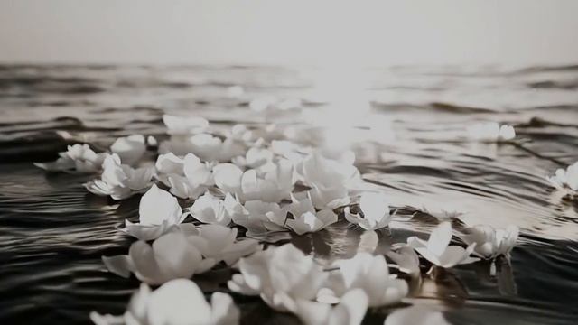 Дедушка - Р.С.И.И