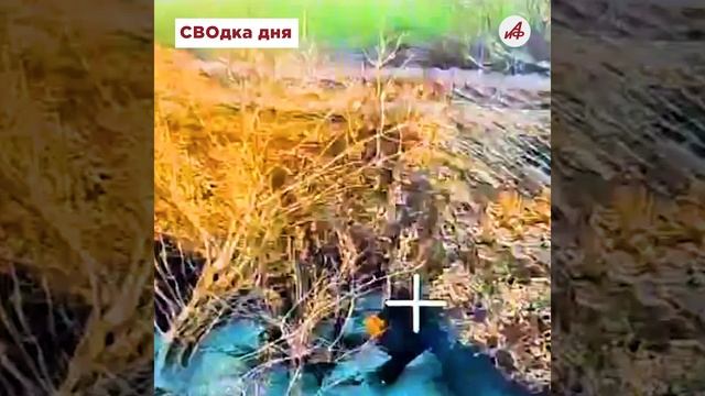 Огненный ад! Бойцы «Севера» накрыли «Градом» боевиков ВСУ в Сумской области