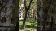 20250429_131727