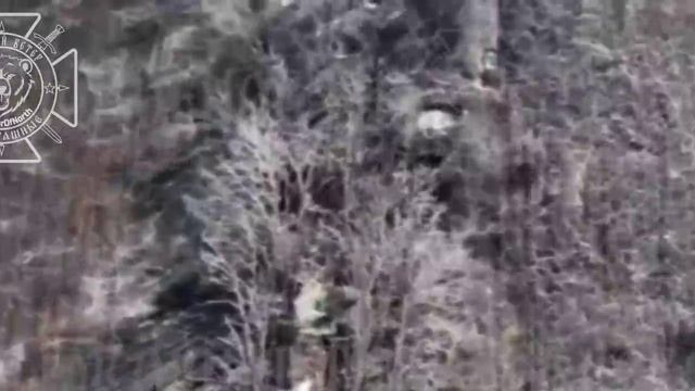 💥Бои на Харьковском направлении: Северяне сожгли опорный пункт украинских фашистов !!!