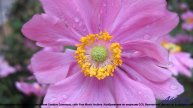 ❤❤❤ Музыка, которую слушают на Марсе - Inspirational Corporate -- Lowtone Music -- Inspirational Cor