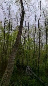 РАКЧЕЕВСКИЙ ТРАКТ