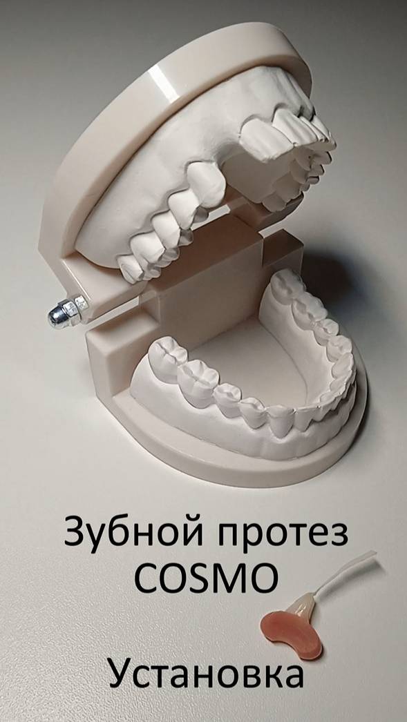 Зубные протезы COSMO