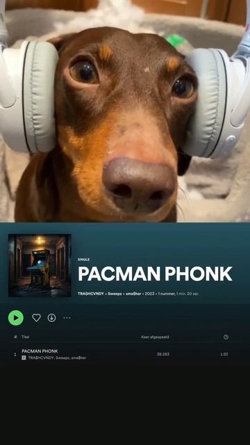 Is PACMAN PHONK a banger?🔥 #phonk #фонк #music